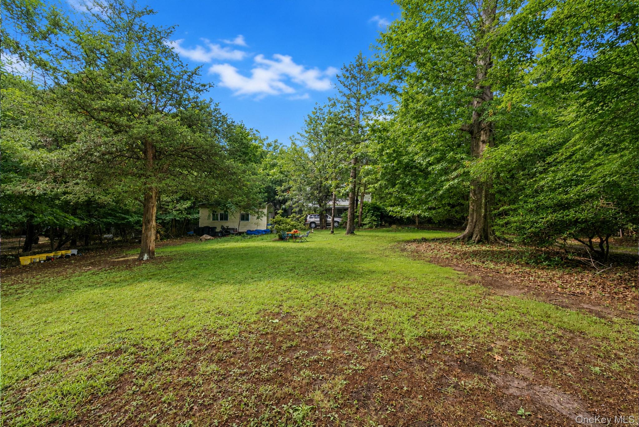 59 Dyke Road Property Photo 12