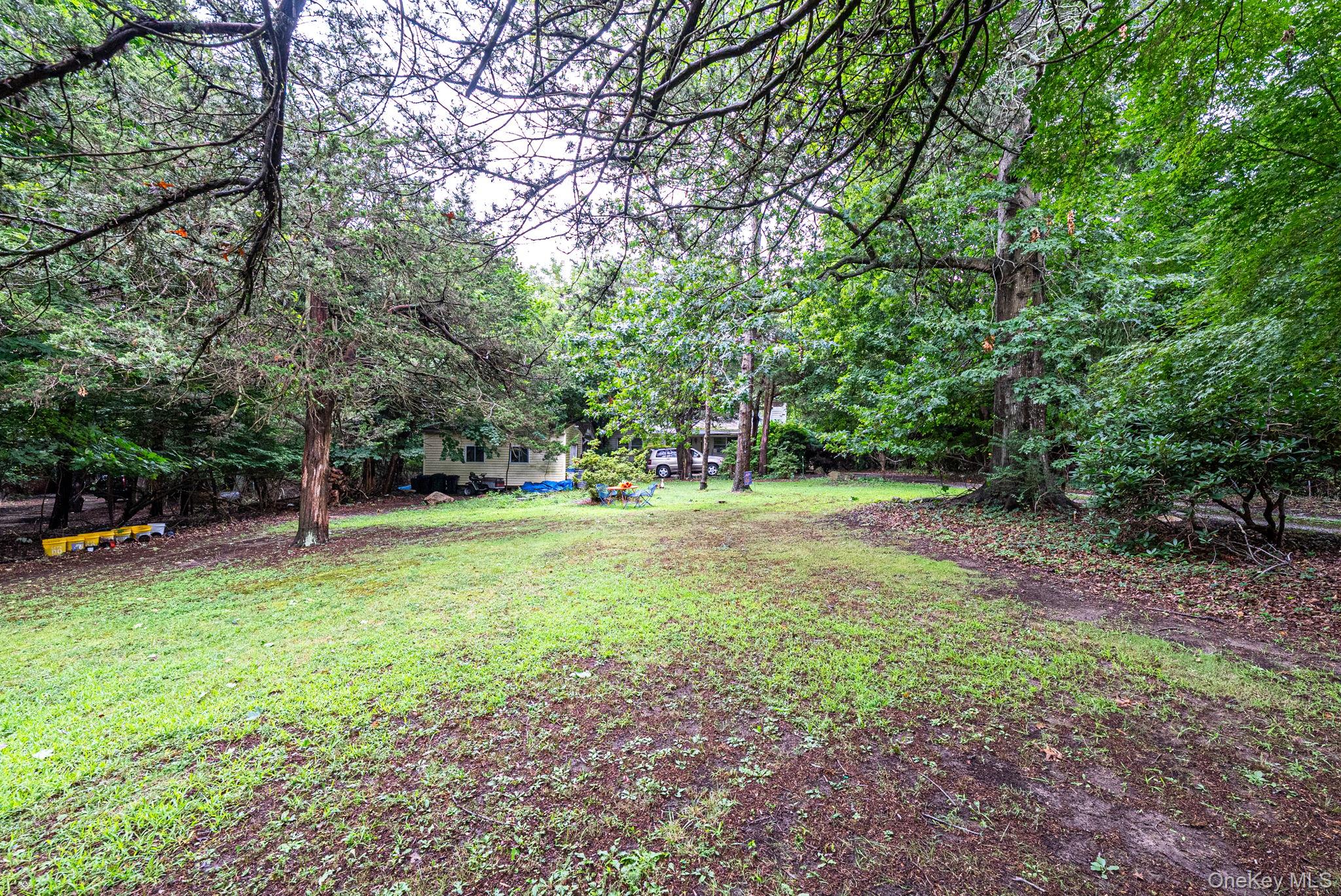 59 Dyke Road Property Photo 13