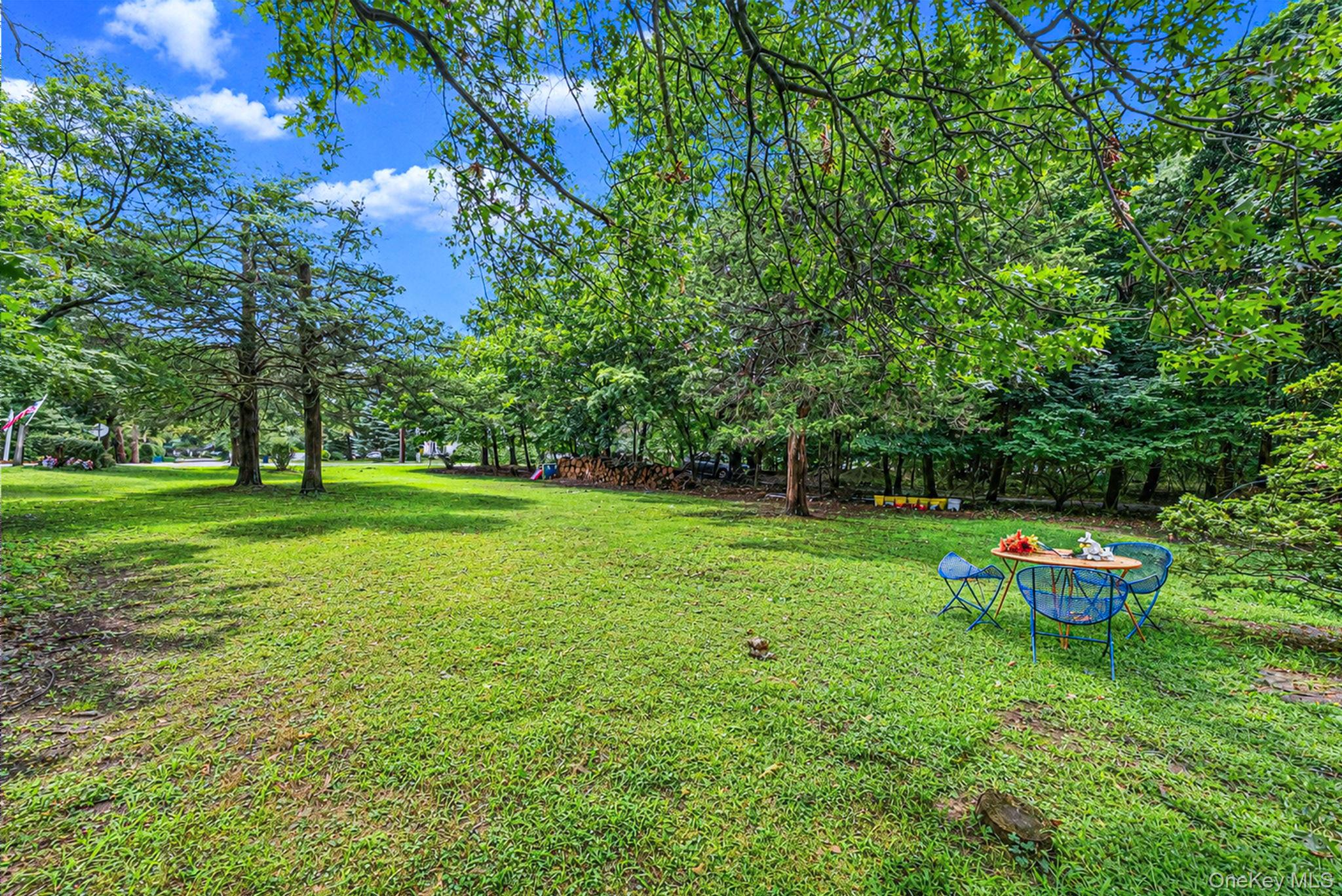 59 Dyke Road Property Photo 14