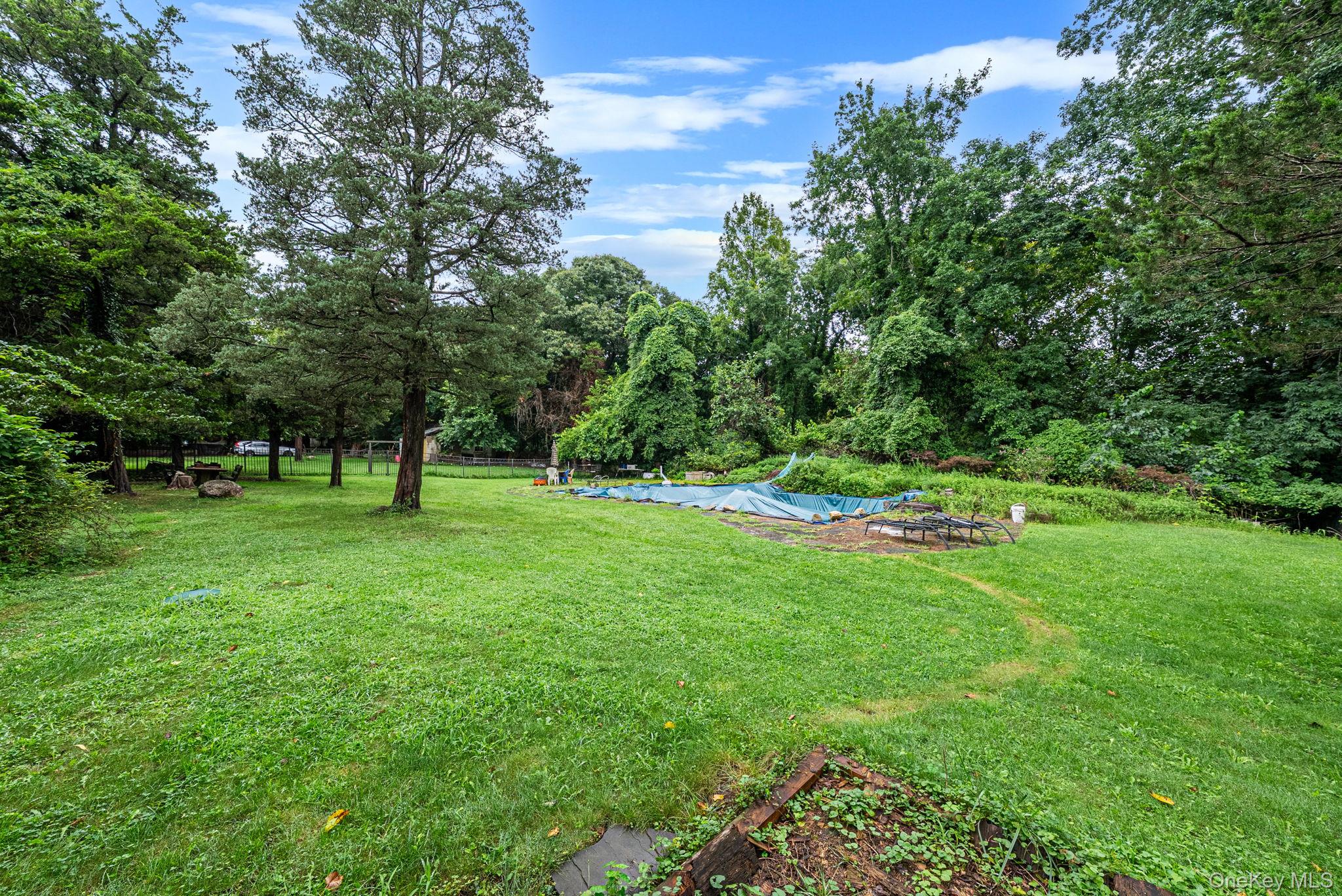 59 Dyke Road Property Photo 15