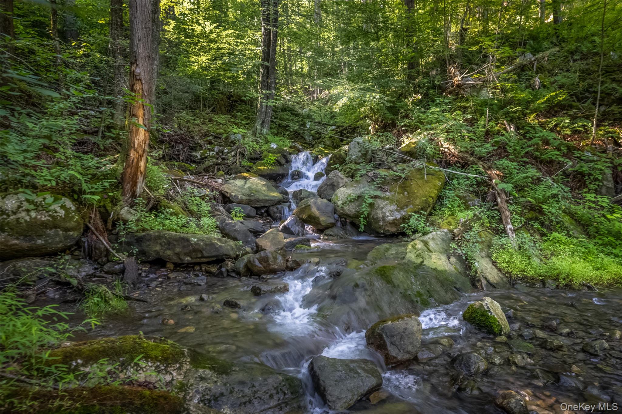 Old Plank Road Property Photo 1