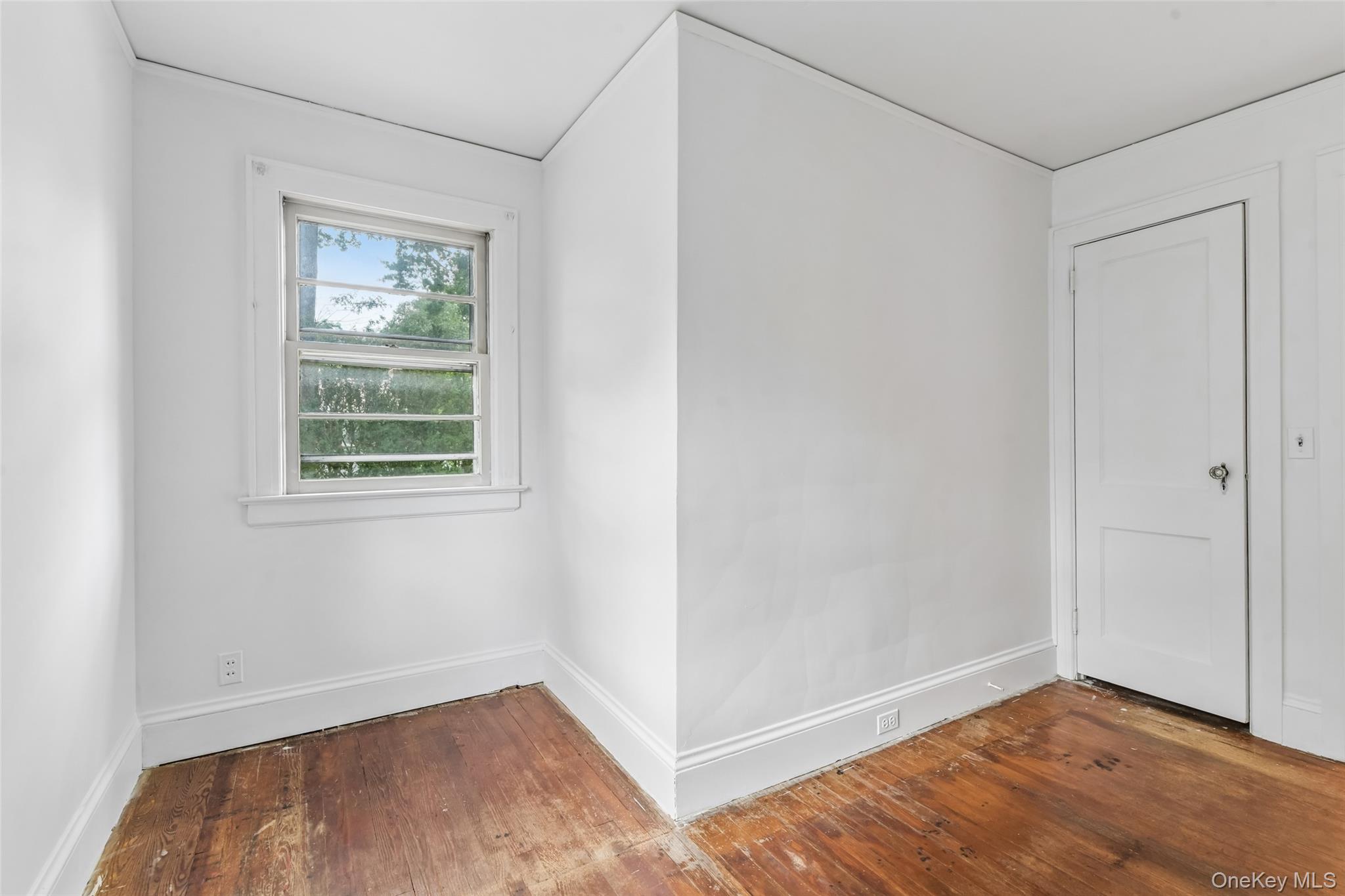 204 Auburn Street Property Photo 18
