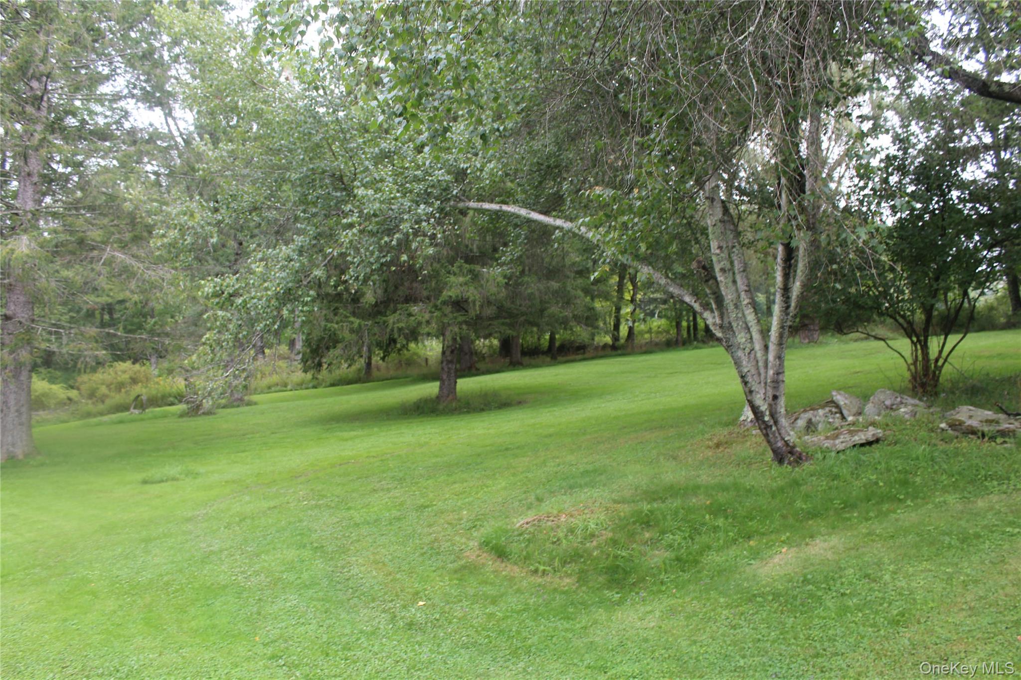 19 Frelich Road Property Photo 6