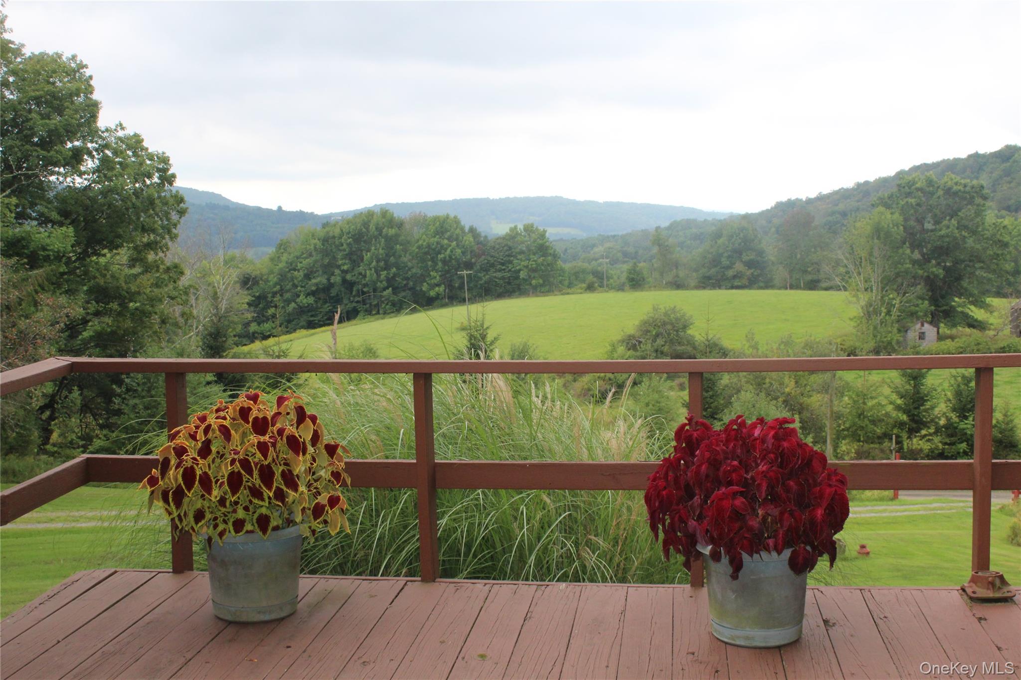 19 Frelich Road Property Photo 9