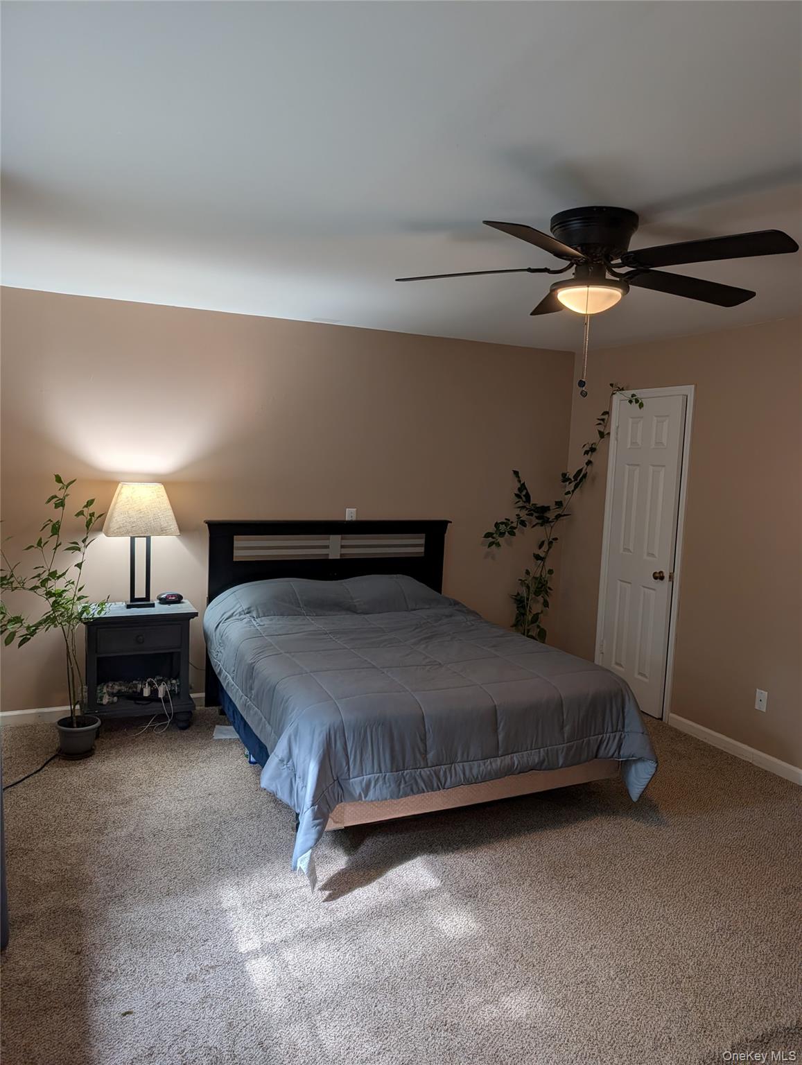 11 Brittany Drive Property Photo 35