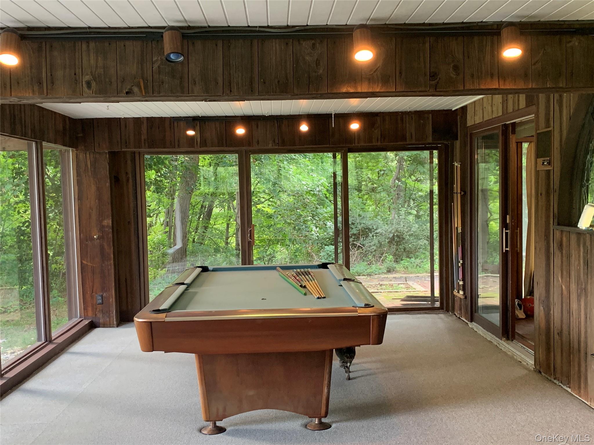 58 Ireland Drive Property Photo 42