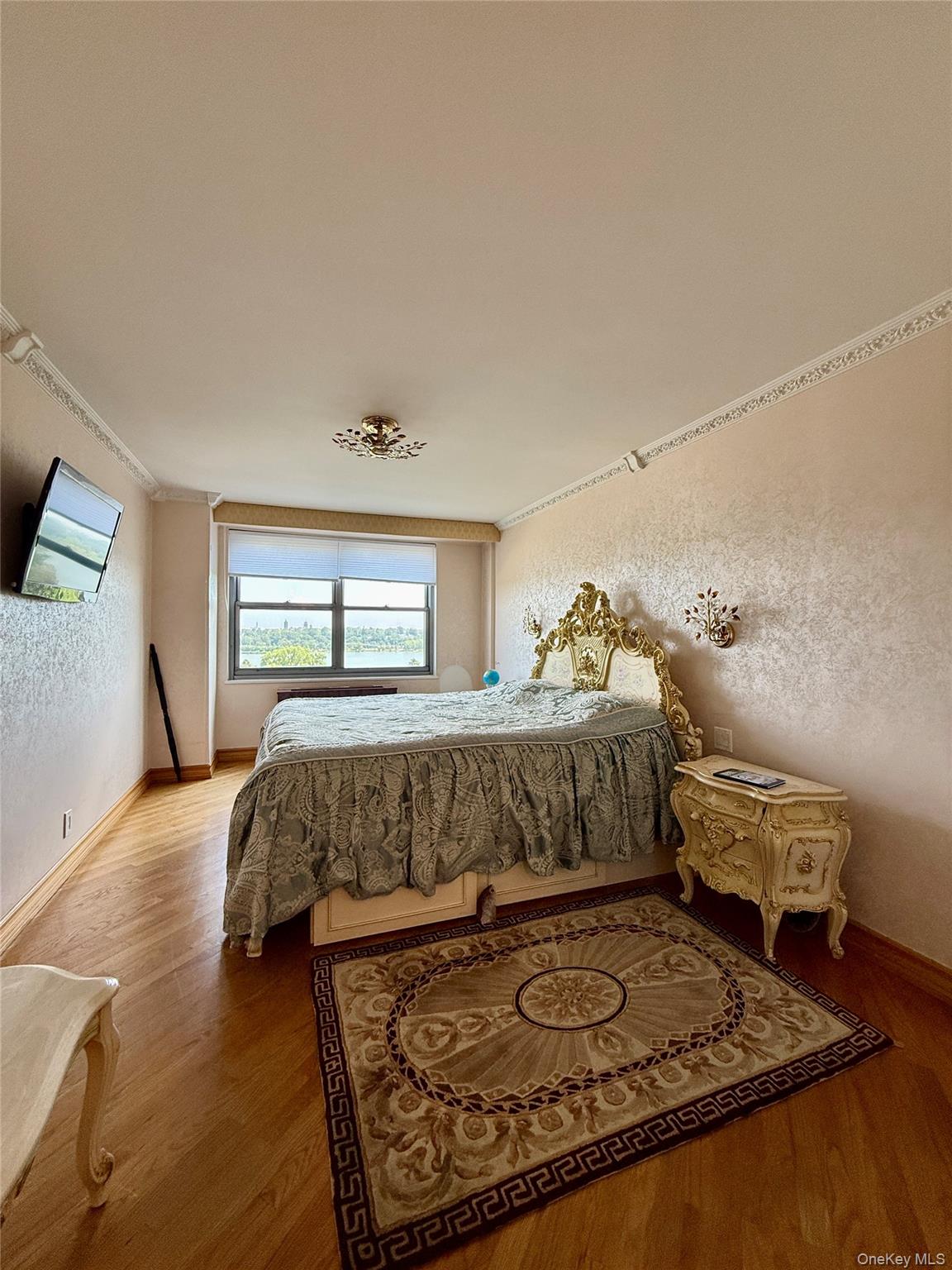 61-20 Grand Central Parkway C 905 Property Photo 16