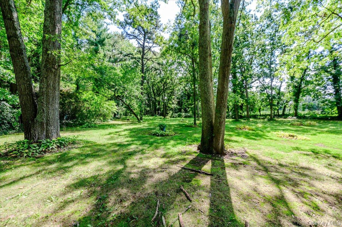 44 E Half Hollow Road Property Photo 39