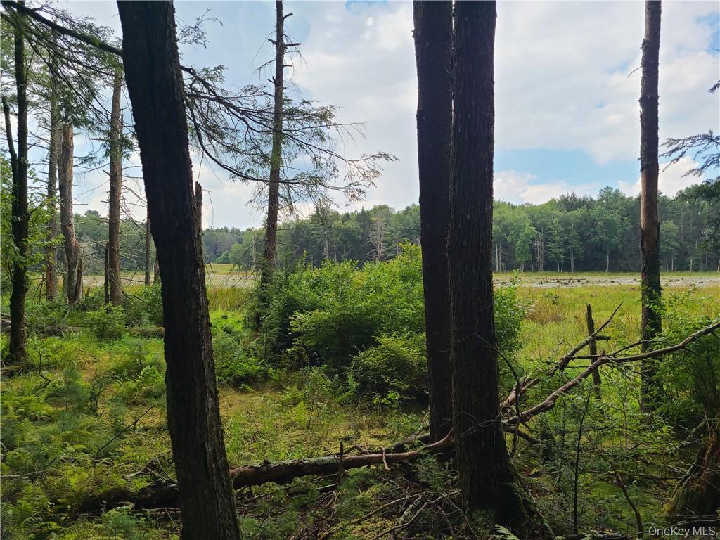 Lot 23 Deer Meadow Road Property Photo 6