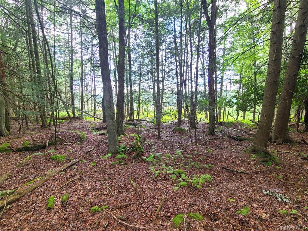 Lot 23 Deer Meadow Road Property Photo 7