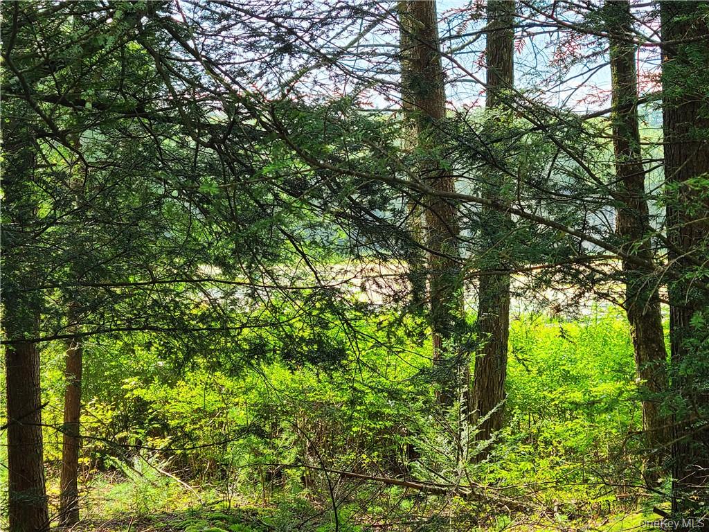 Lot 23 Deer Meadow Road Property Photo 8