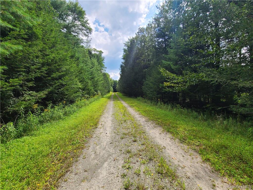 Lot 23 Deer Meadow Road Property Photo 9