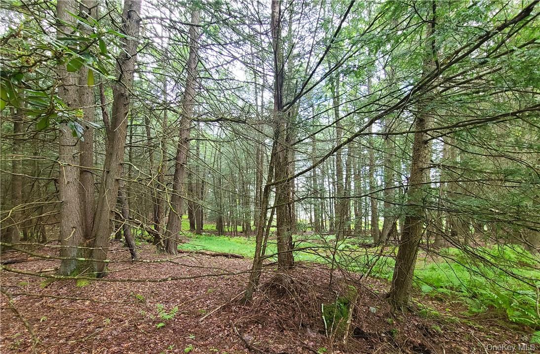 Lot 23 Deer Meadow Road Property Photo 10