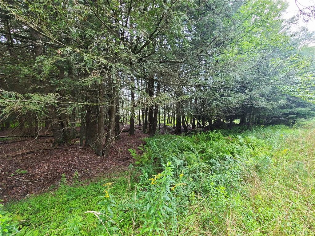 Lot 23 Deer Meadow Road Property Photo 11