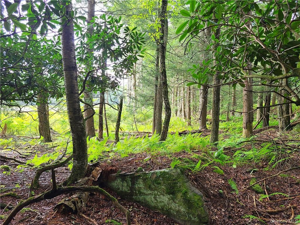 Lot 23 Deer Meadow Road Property Photo 15