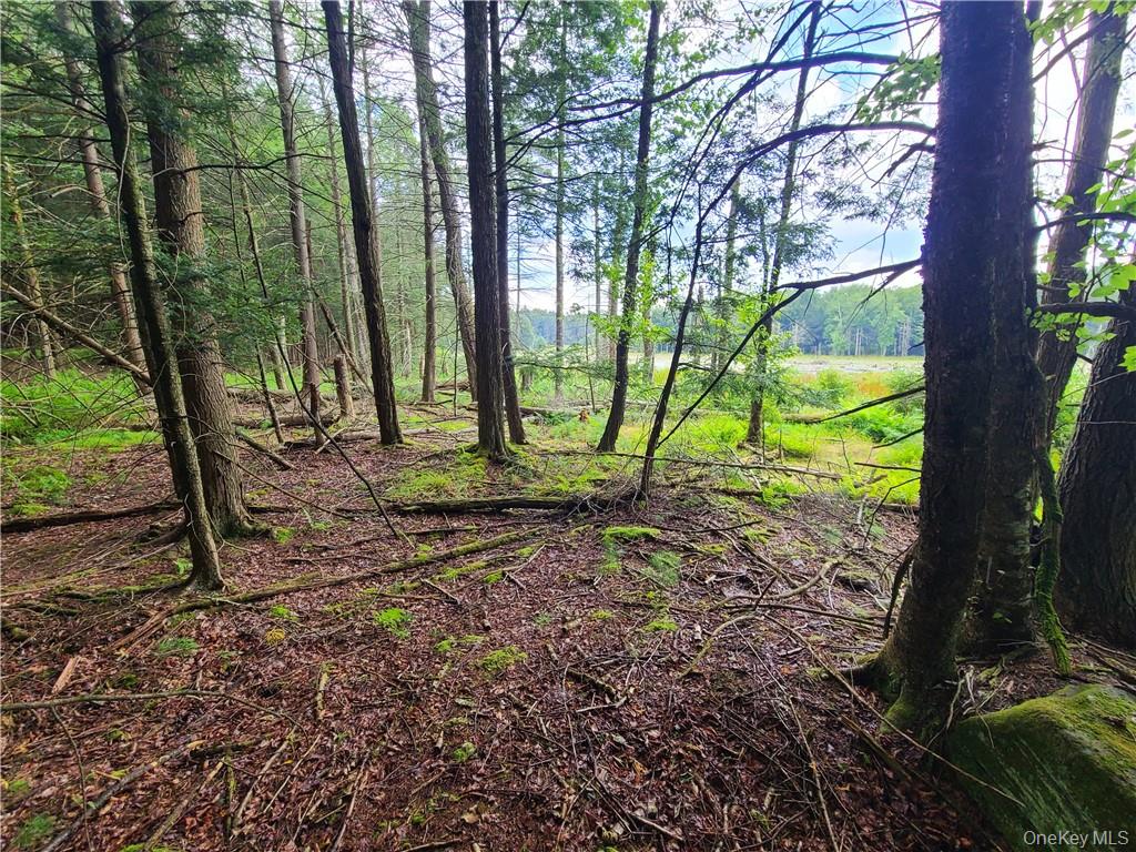 Lot 23 Deer Meadow Road Property Photo 16