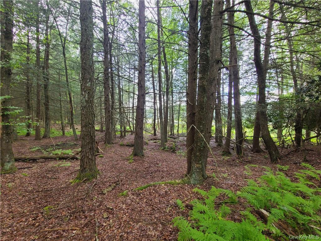 Lot 23 Deer Meadow Road Property Photo 17