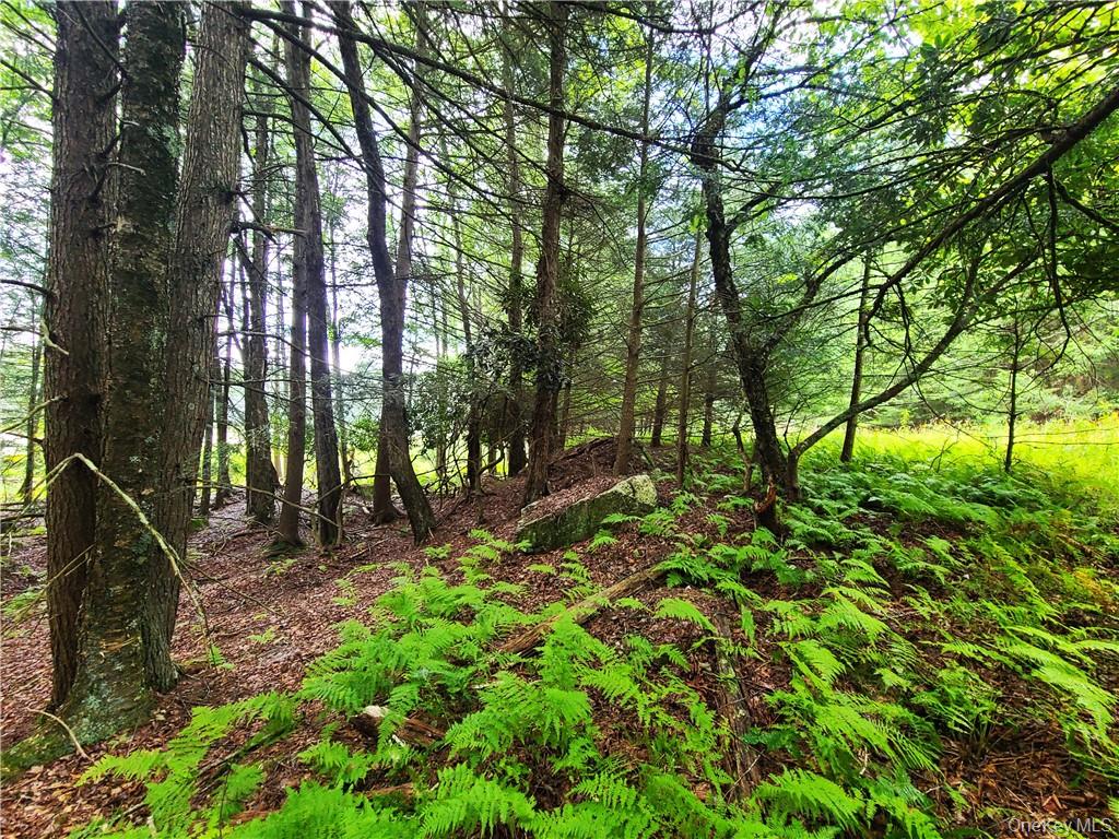Lot 23 Deer Meadow Road Property Photo 18