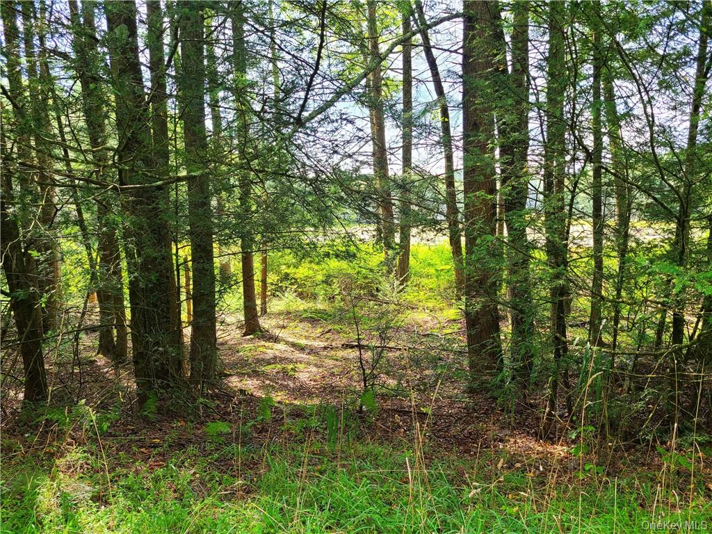 Lot 23 Deer Meadow Road Property Photo 19
