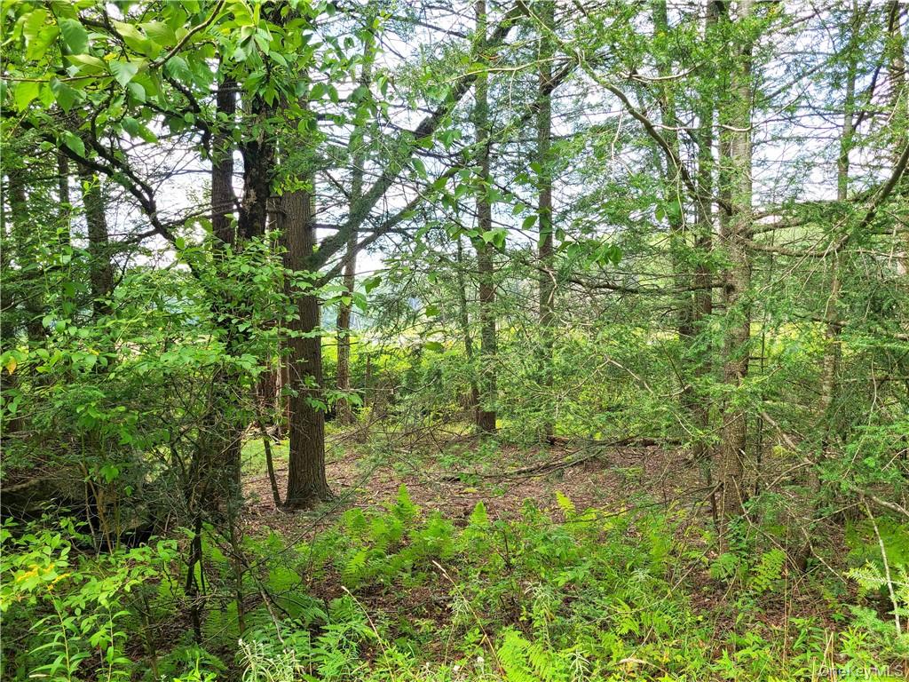 Lot 23 Deer Meadow Road Property Photo 20