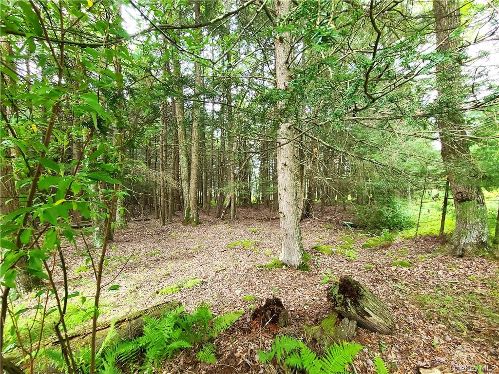 Lot 23 Deer Meadow Road Property Photo 21