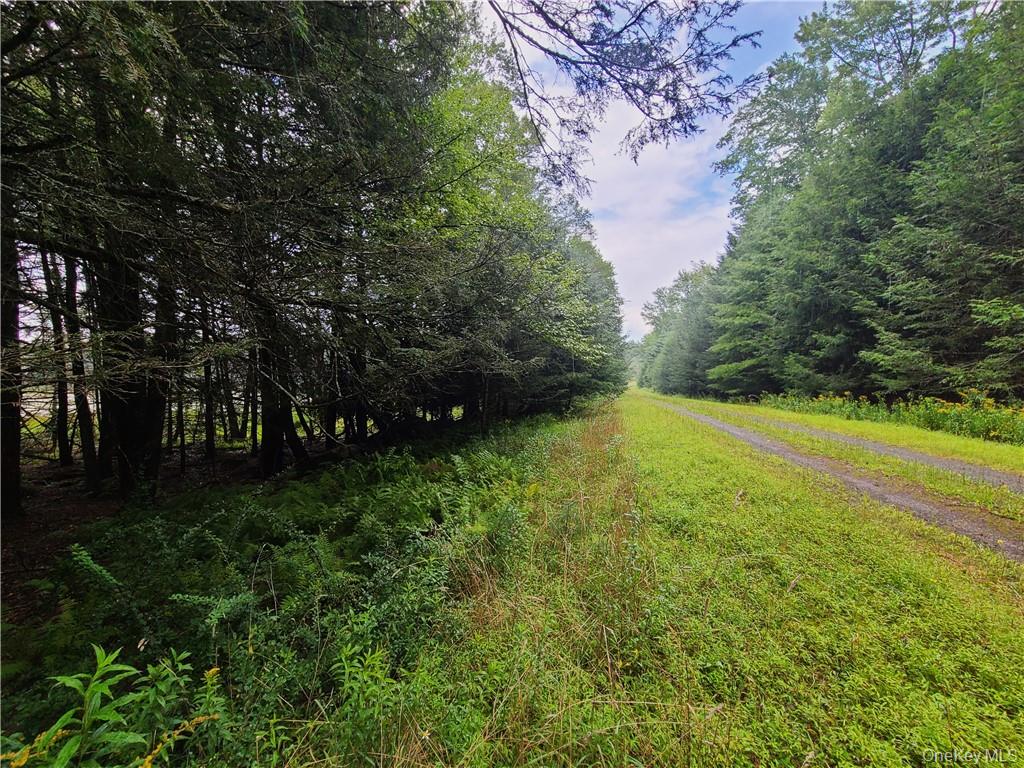 Lot 23 Deer Meadow Road Property Photo 22