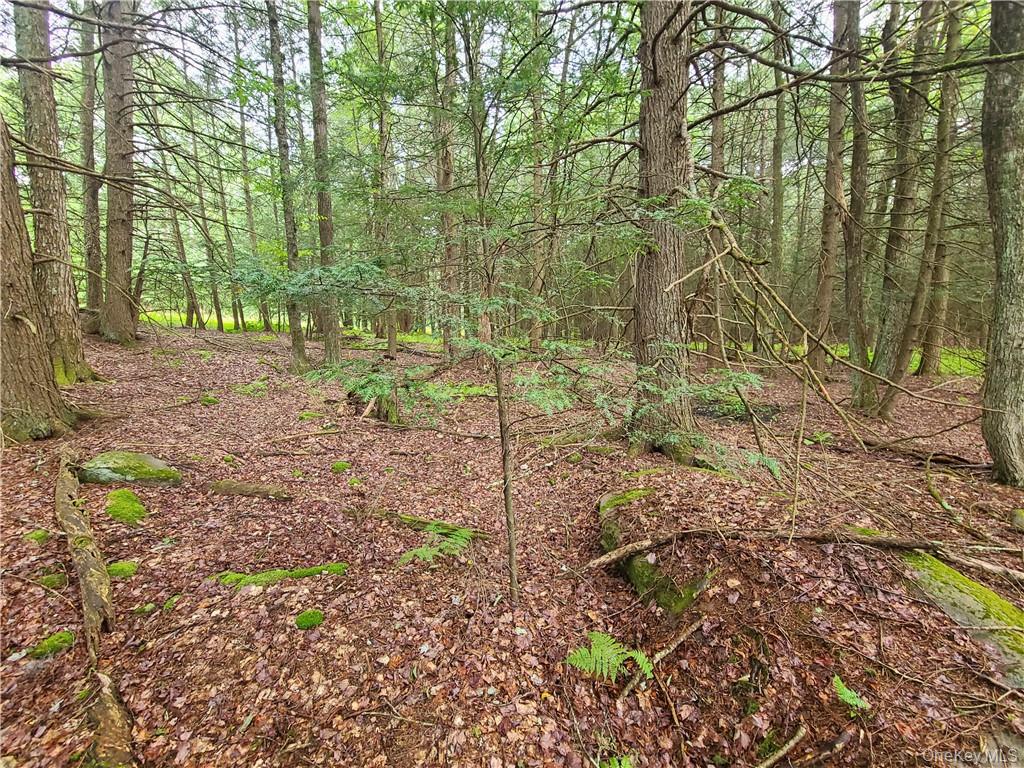Lot 23 Deer Meadow Road Property Photo 23