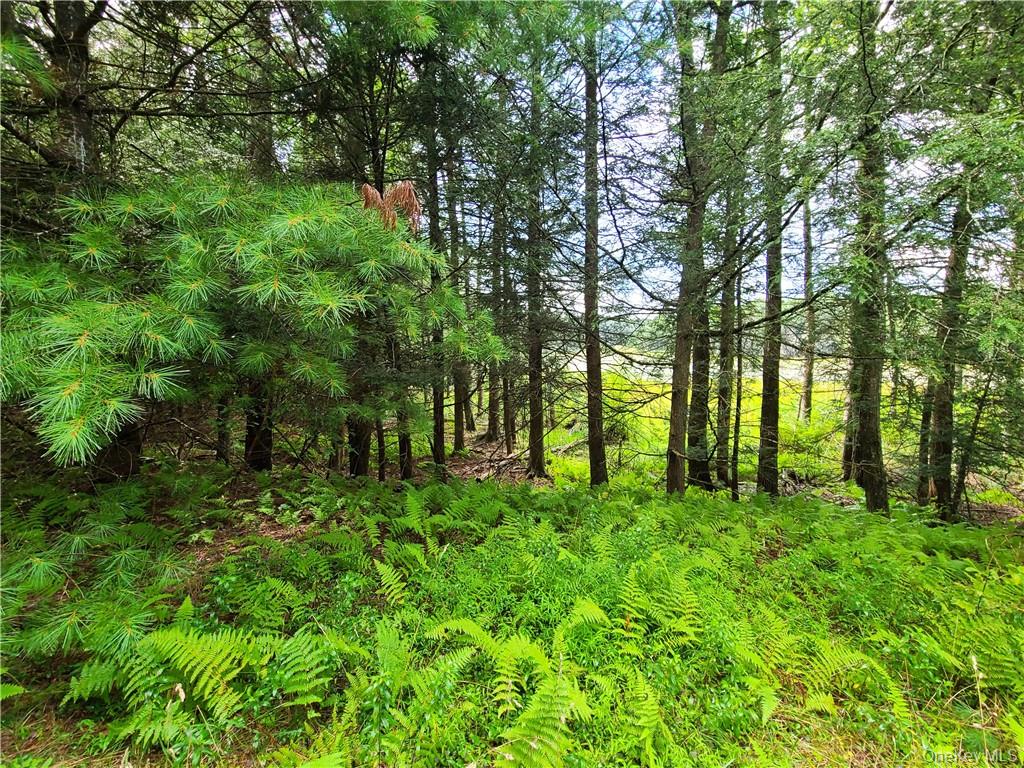 Lot 23 Deer Meadow Road Property Photo 24