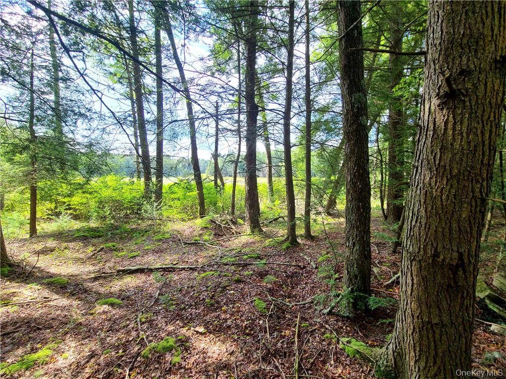 Lot 23 Deer Meadow Road Property Photo 25