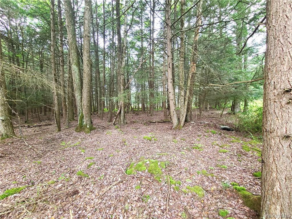 Lot 23 Deer Meadow Road Property Photo 26