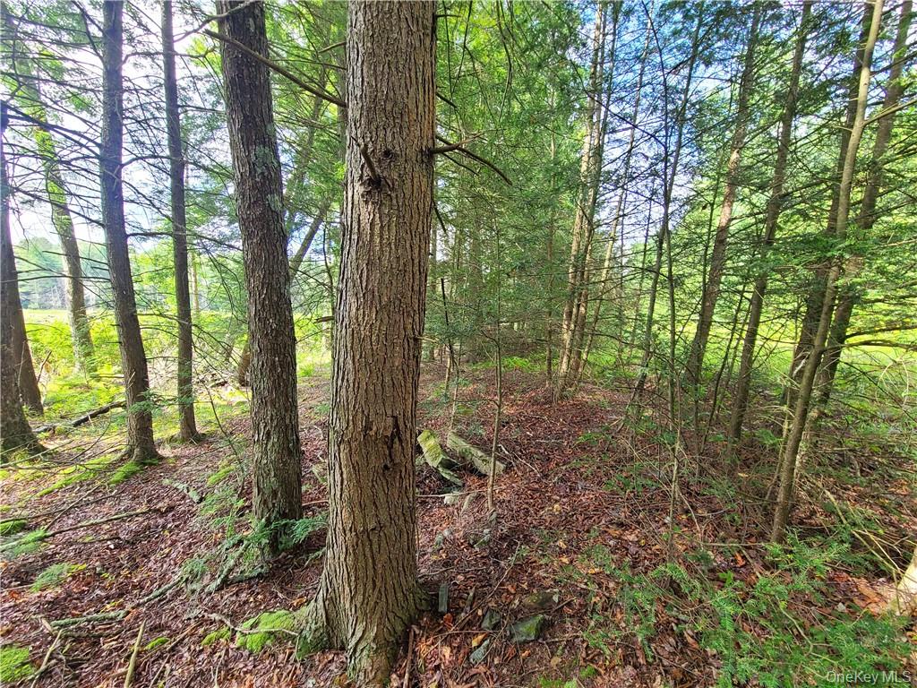 Lot 23 Deer Meadow Road Property Photo 27
