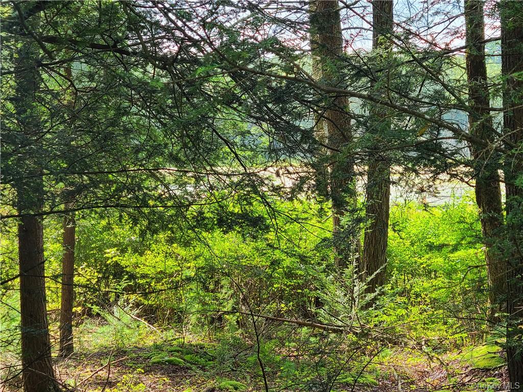 Lot 23 Deer Meadow Road Property Photo 28