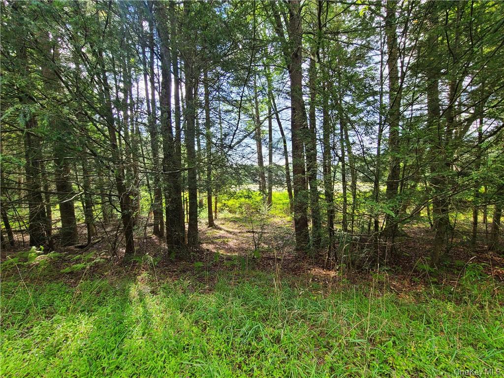Lot 23 Deer Meadow Road Property Photo 29