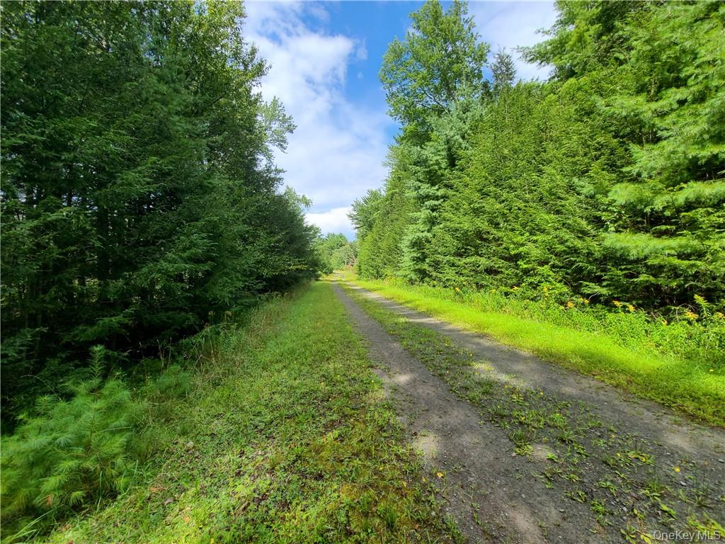 Lot 23 Deer Meadow Road Property Photo 30