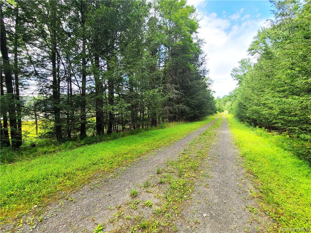 Lot 23 Deer Meadow Road Property Photo 31