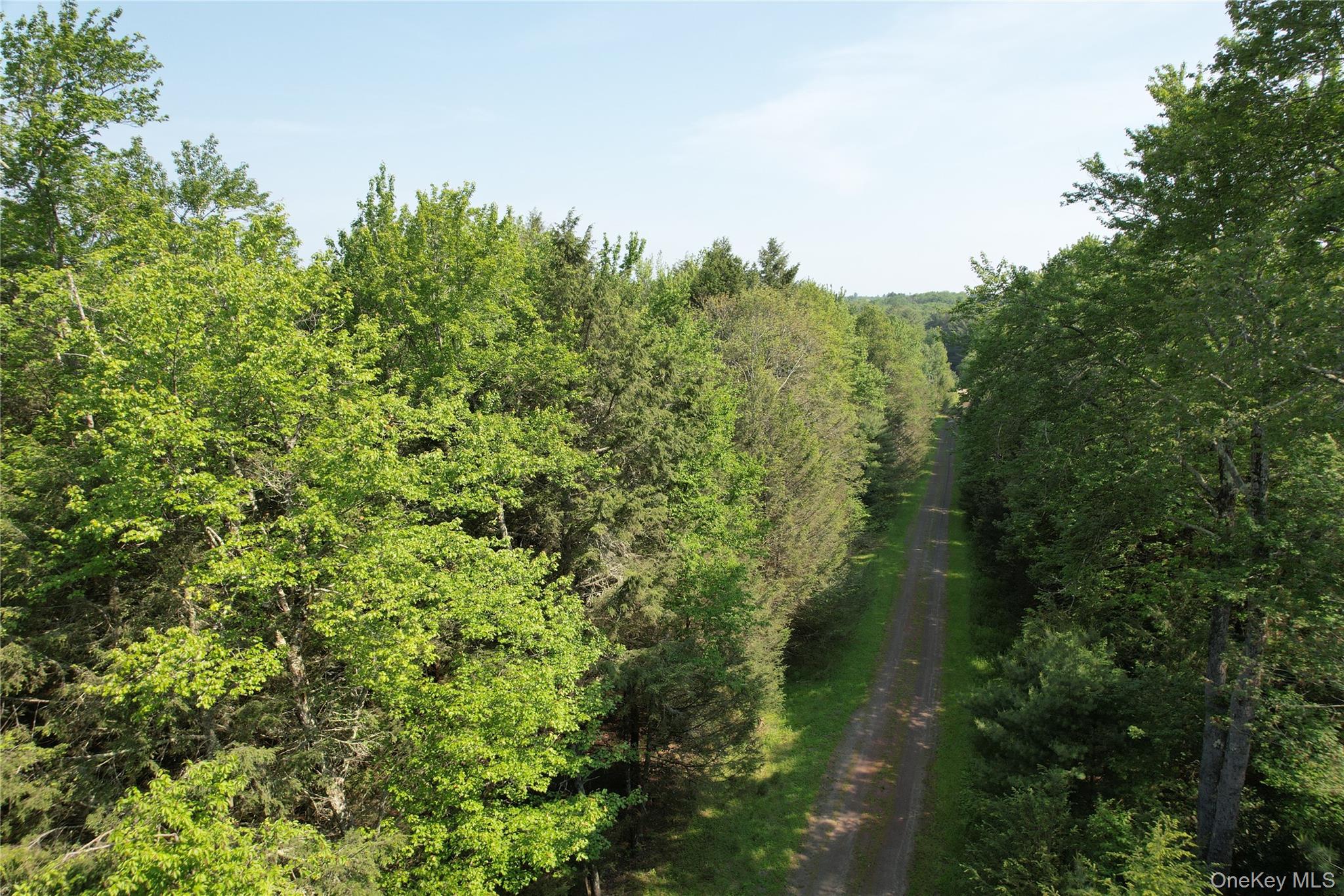 Lot 23 Deer Meadow Road Property Photo 37
