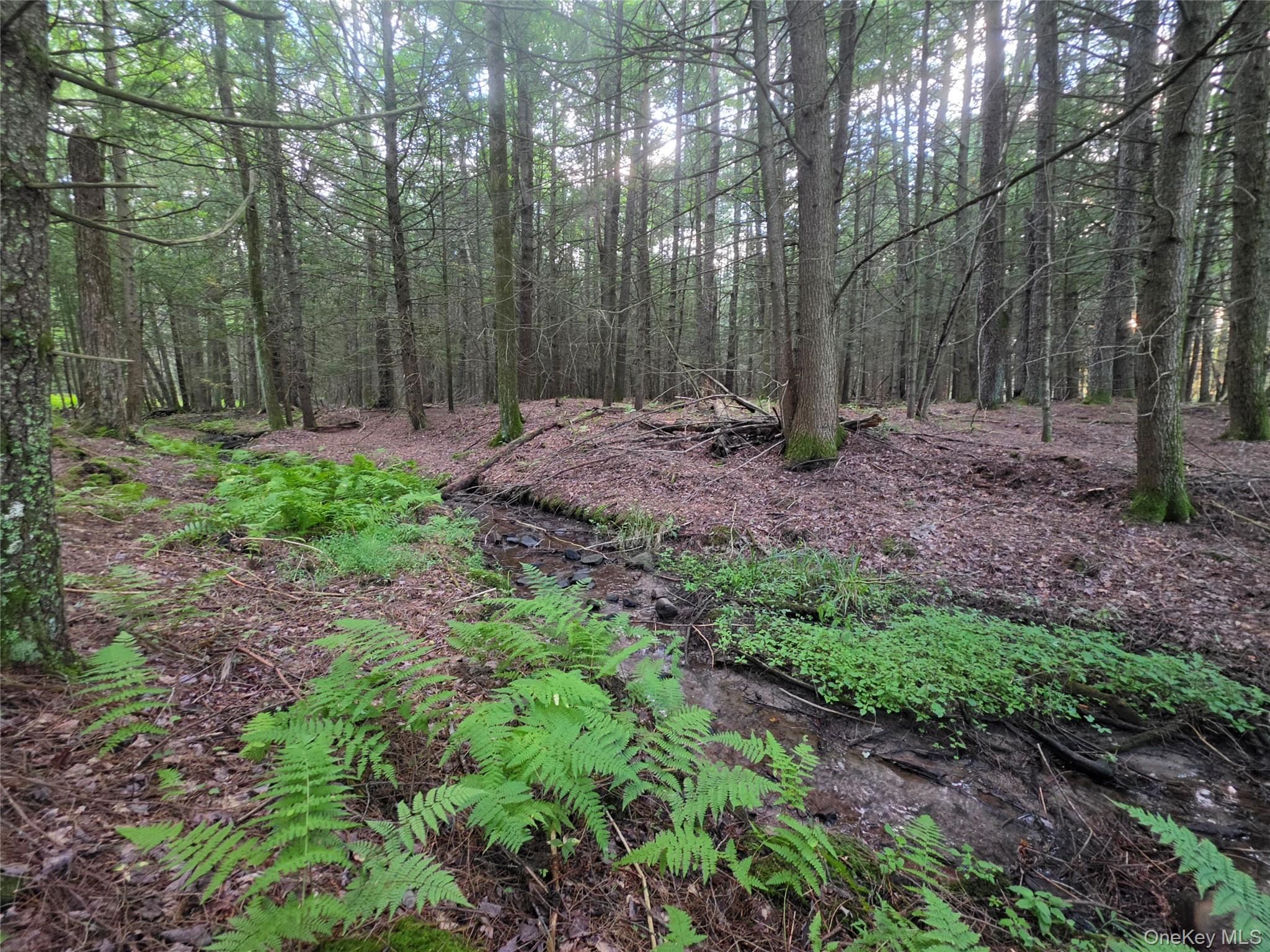 Lot 23 Deer Meadow Road Property Photo 41