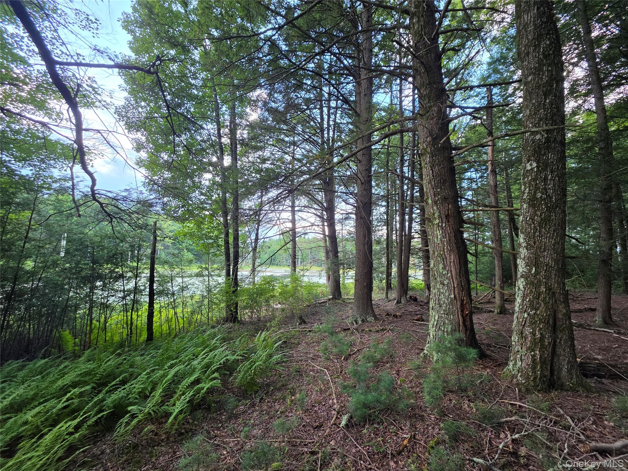 Lot 23 Deer Meadow Road Property Photo 43