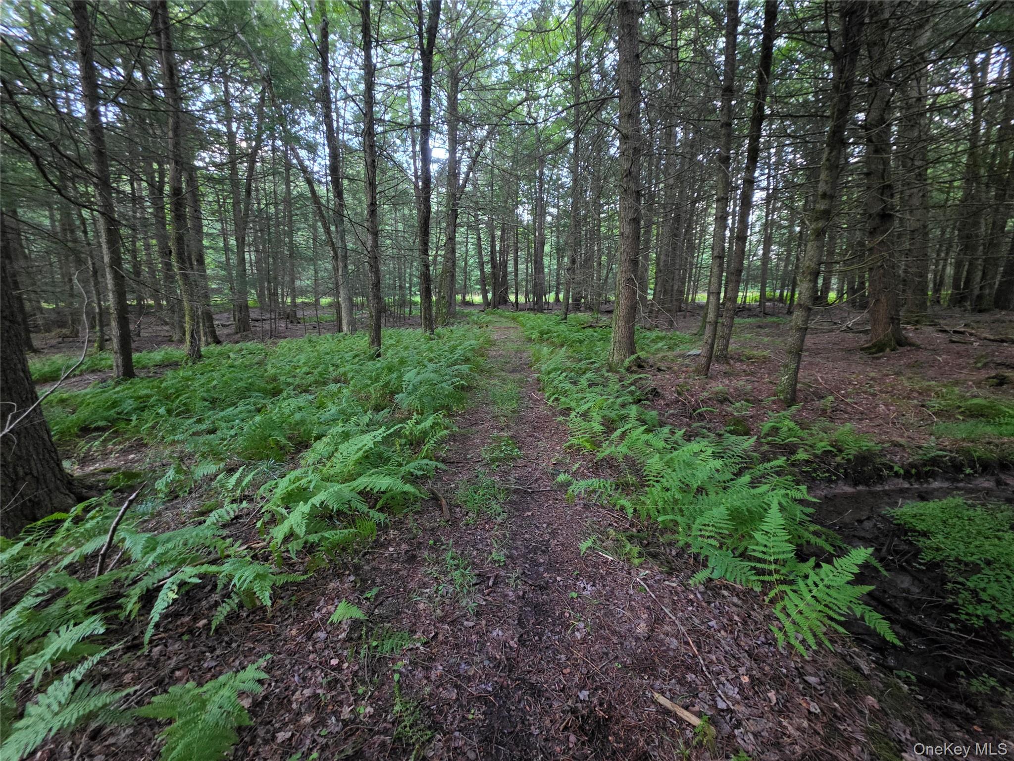 Lot 23 Deer Meadow Road Property Photo 44