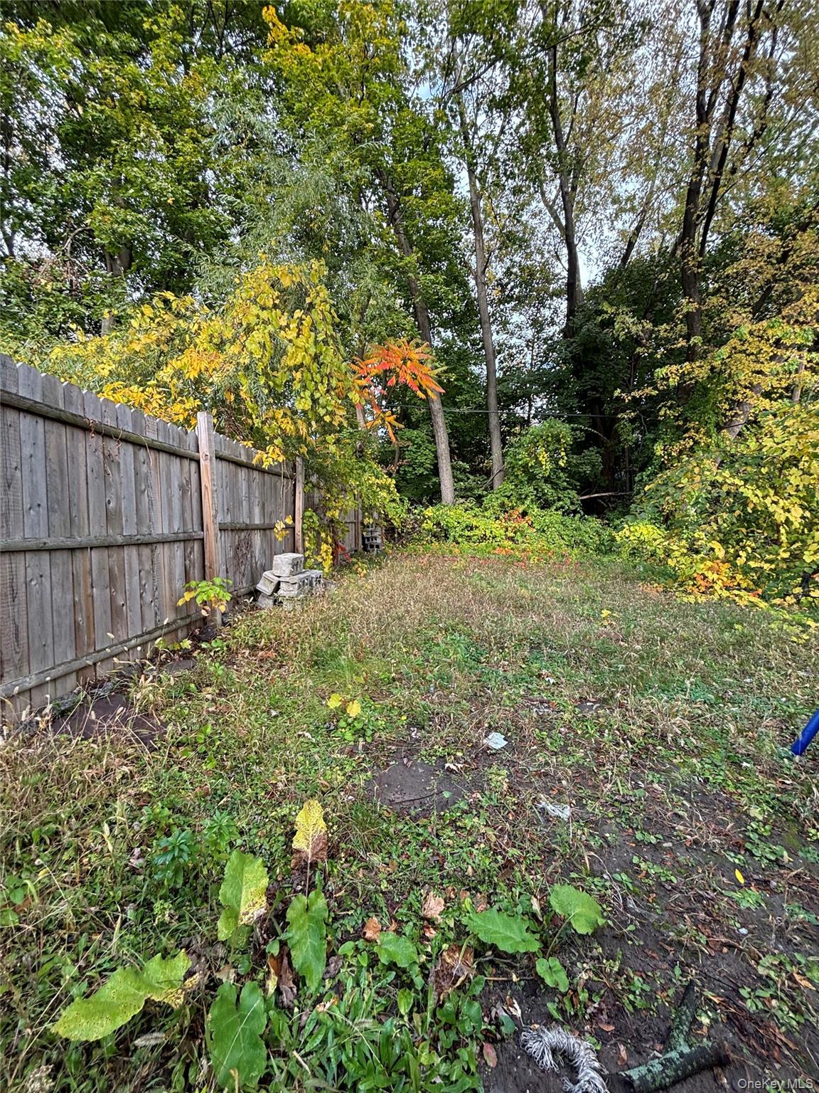 323 Clinton Avenue Property Photo 26