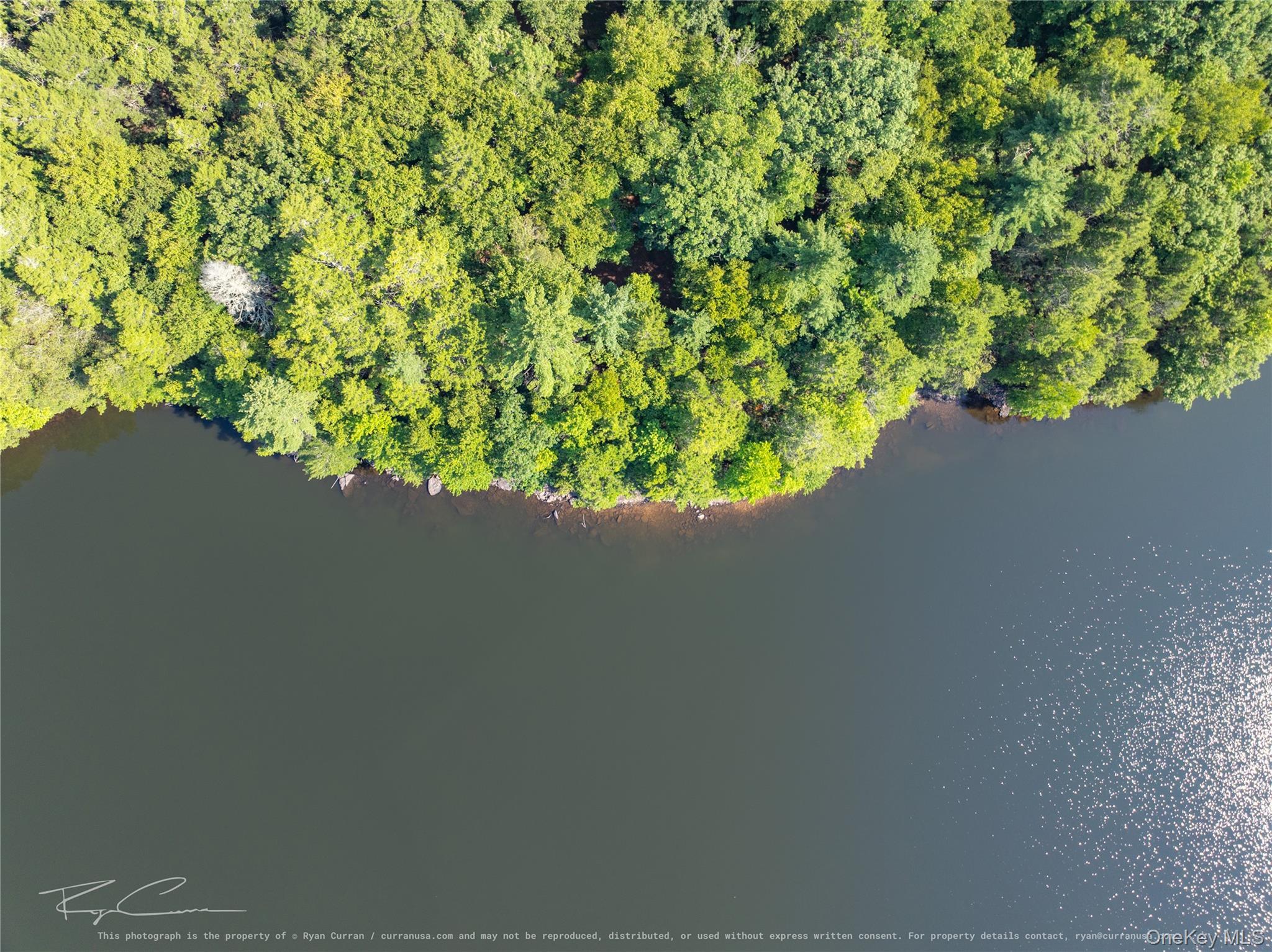 Old Plank Road Property Photo 9