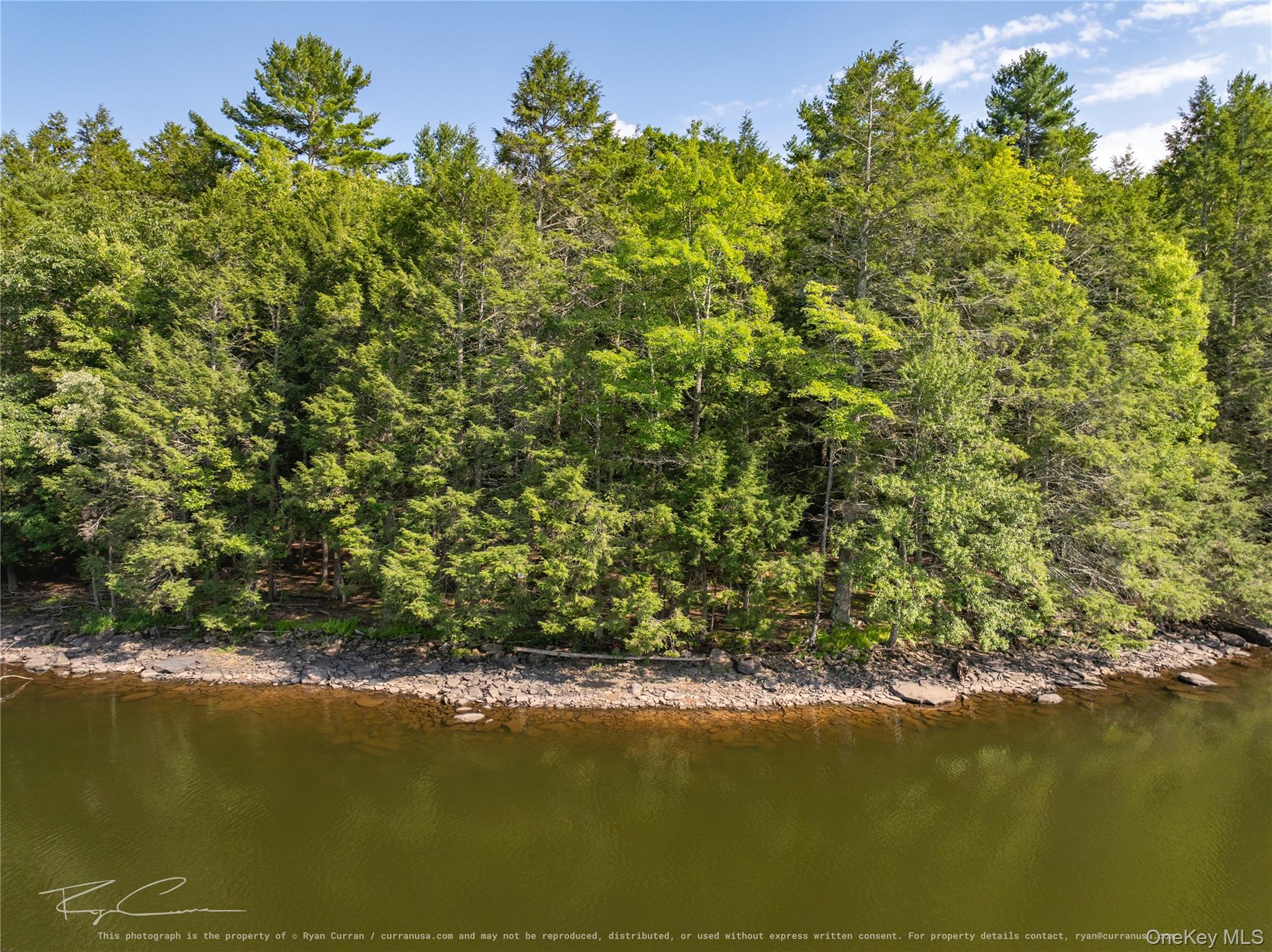 Old Plank Road Property Photo 11