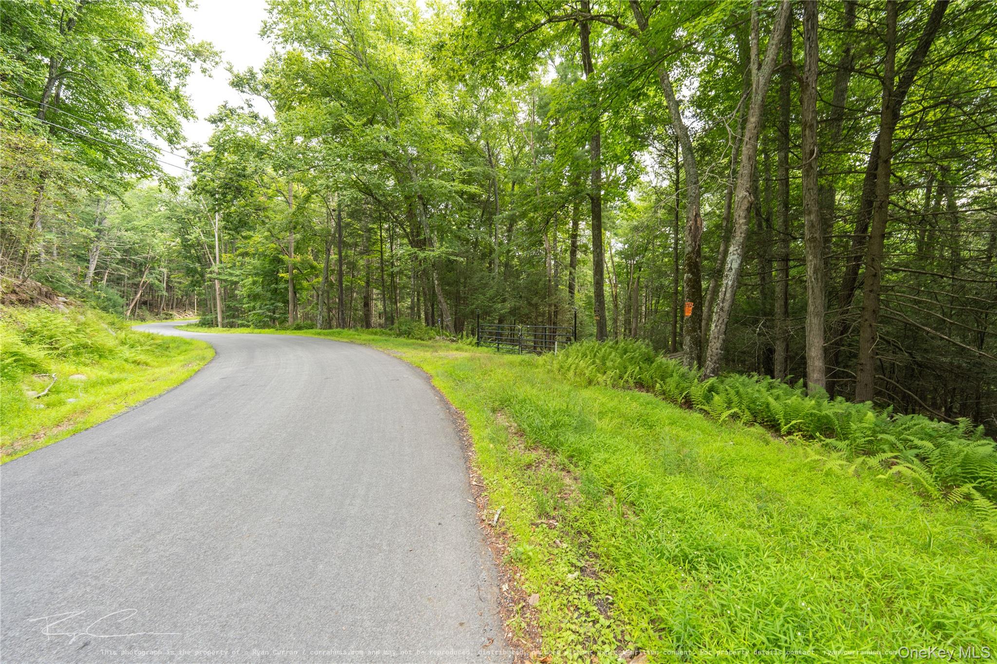 Old Plank Road Property Photo 12