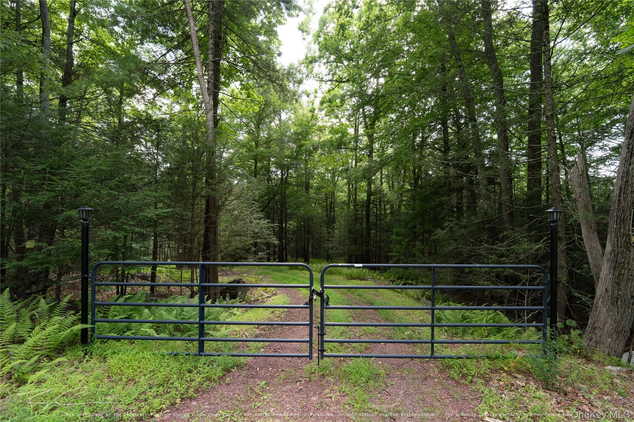 Old Plank Road Property Photo 13