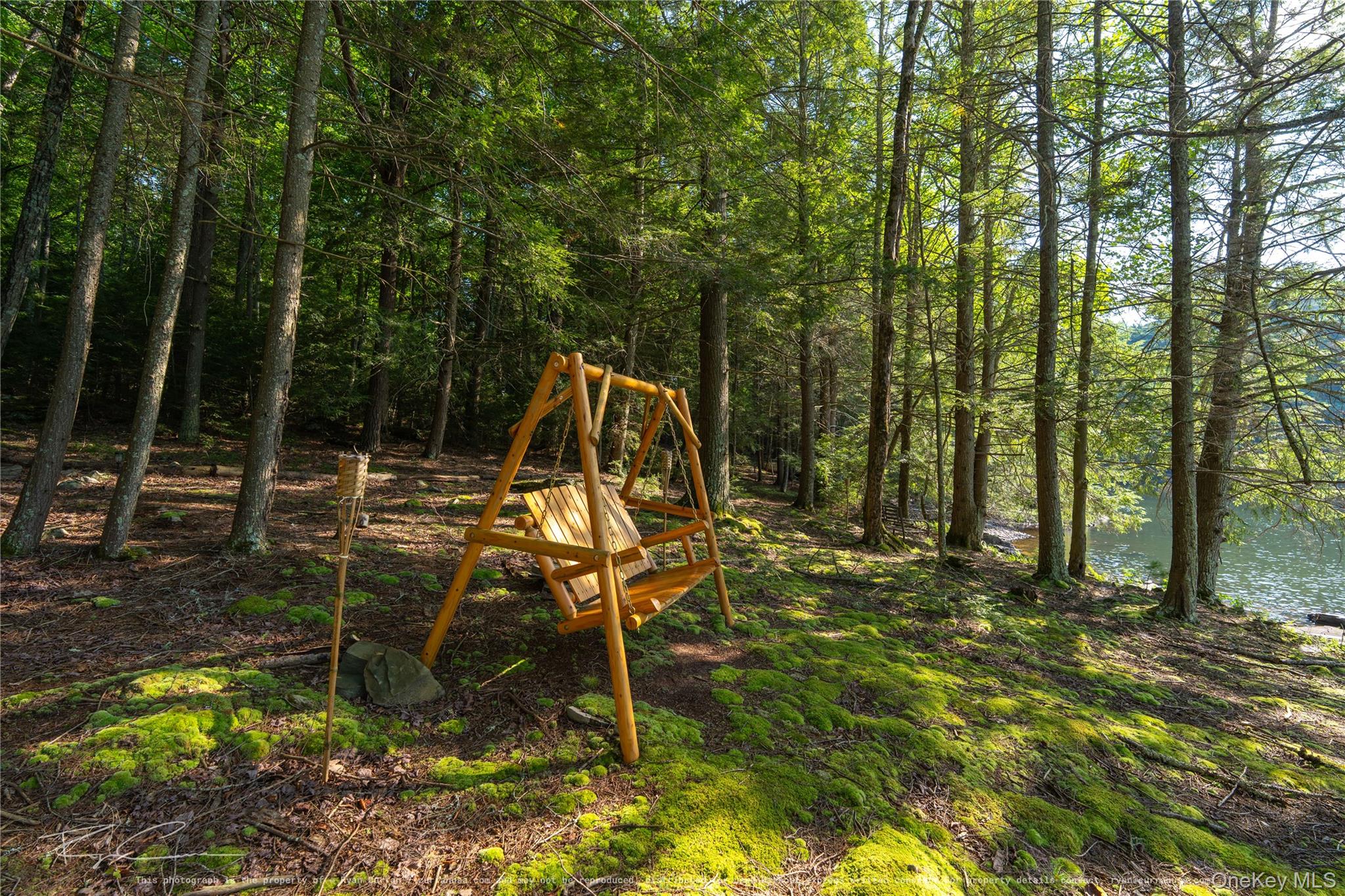 Old Plank Road Property Photo 16