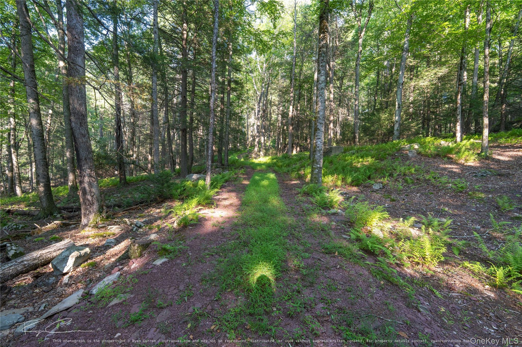 Old Plank Road Property Photo 24