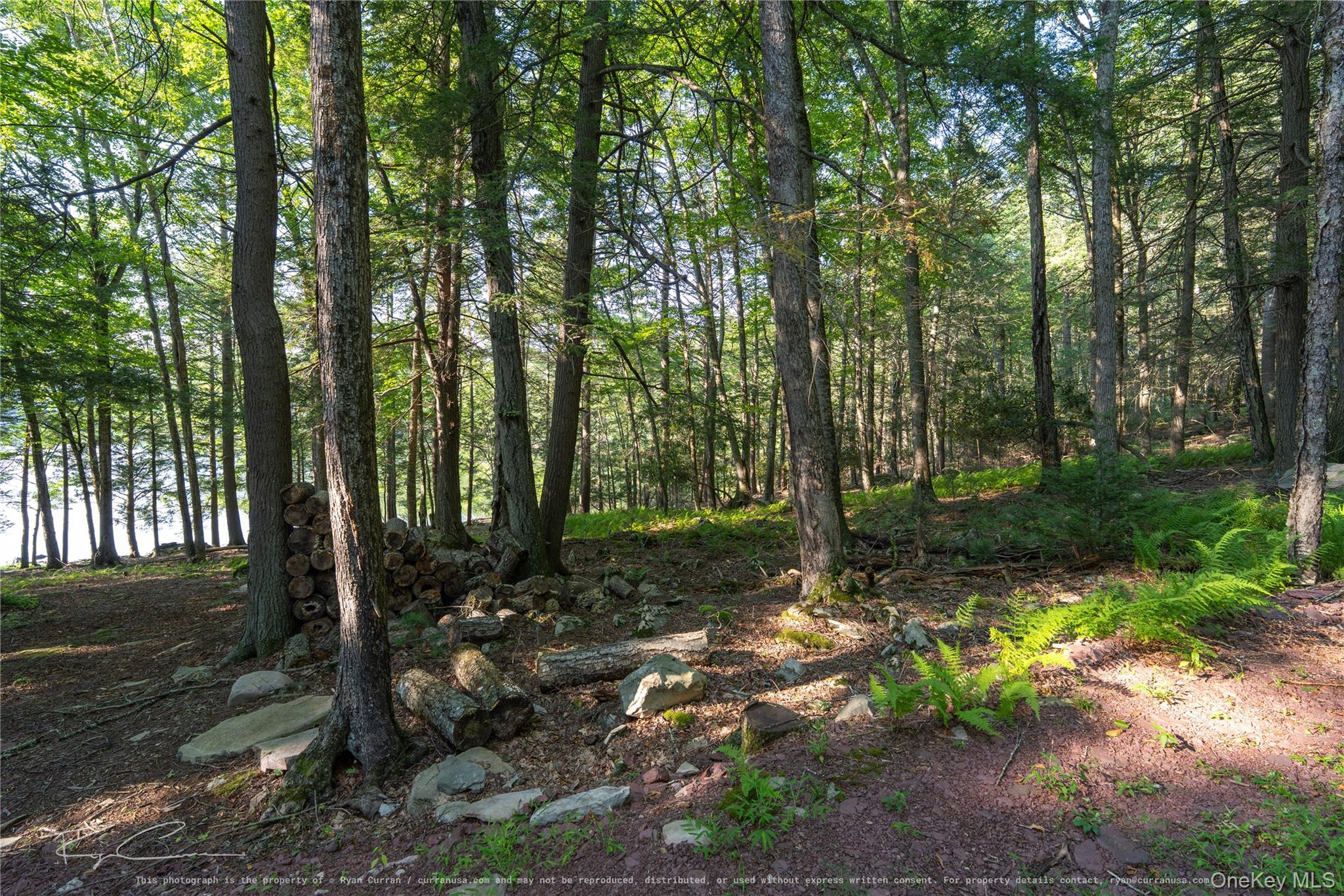 Old Plank Road Property Photo 25