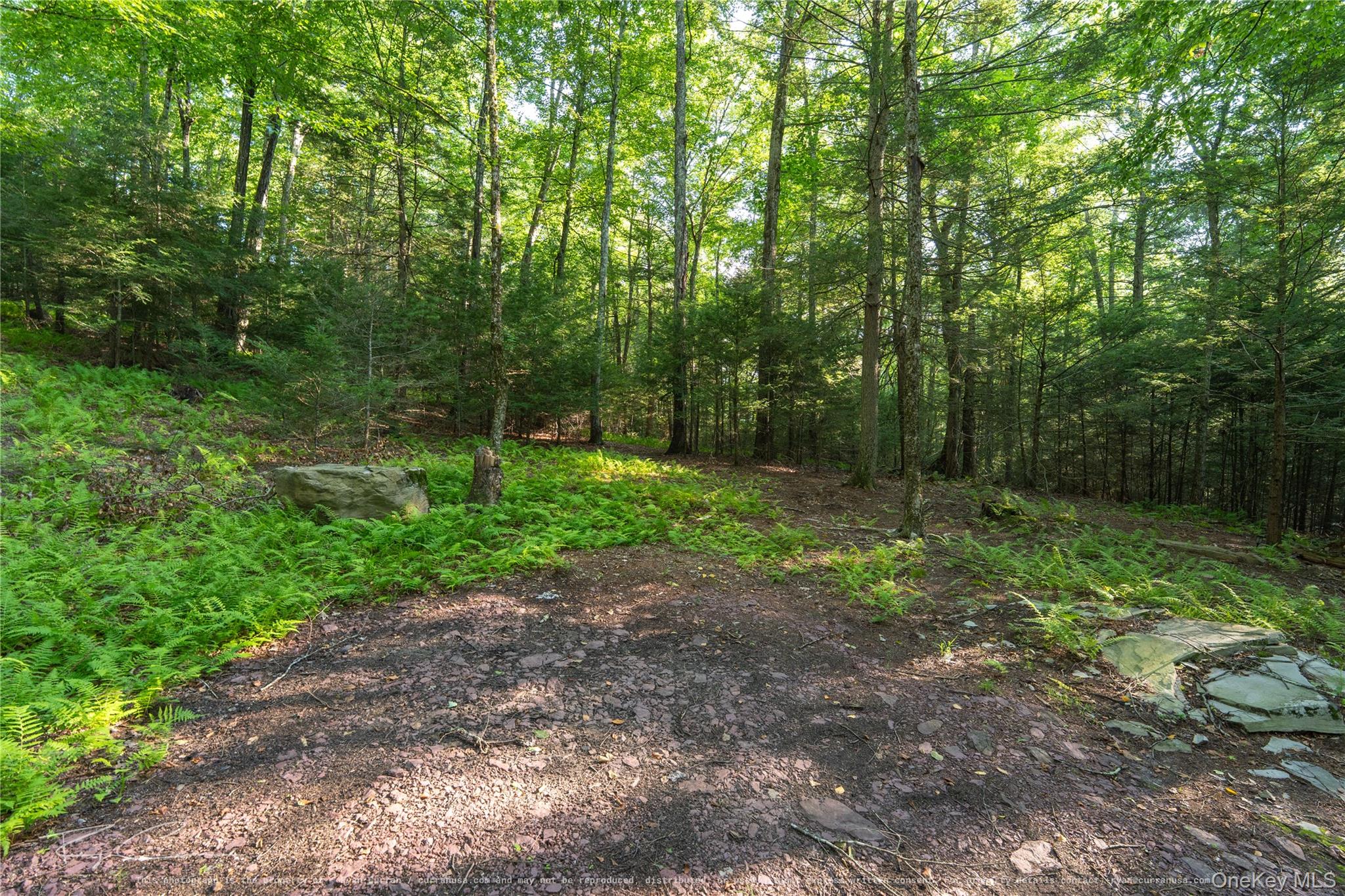 Old Plank Road Property Photo 26