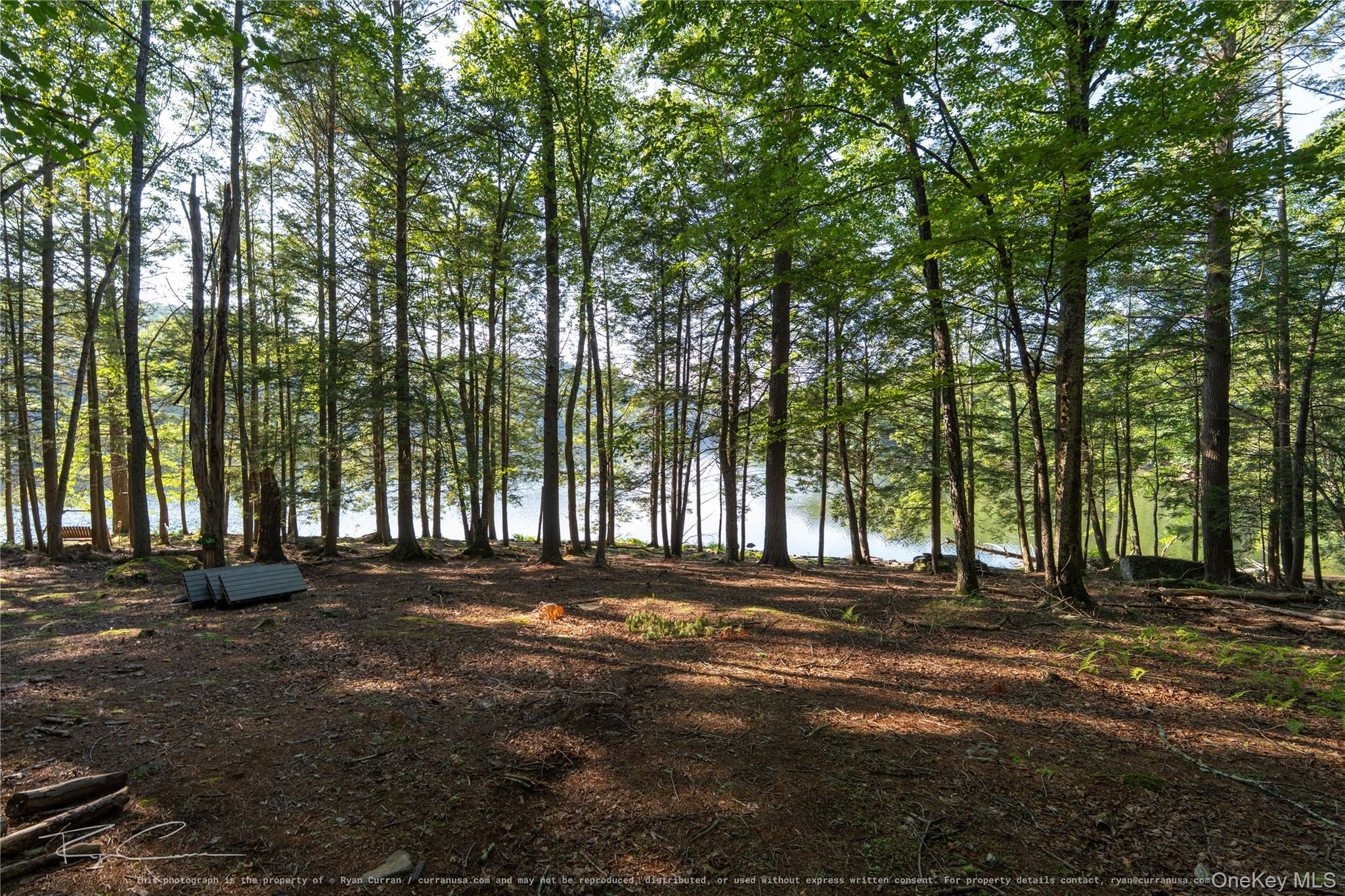 Old Plank Road Property Photo 27