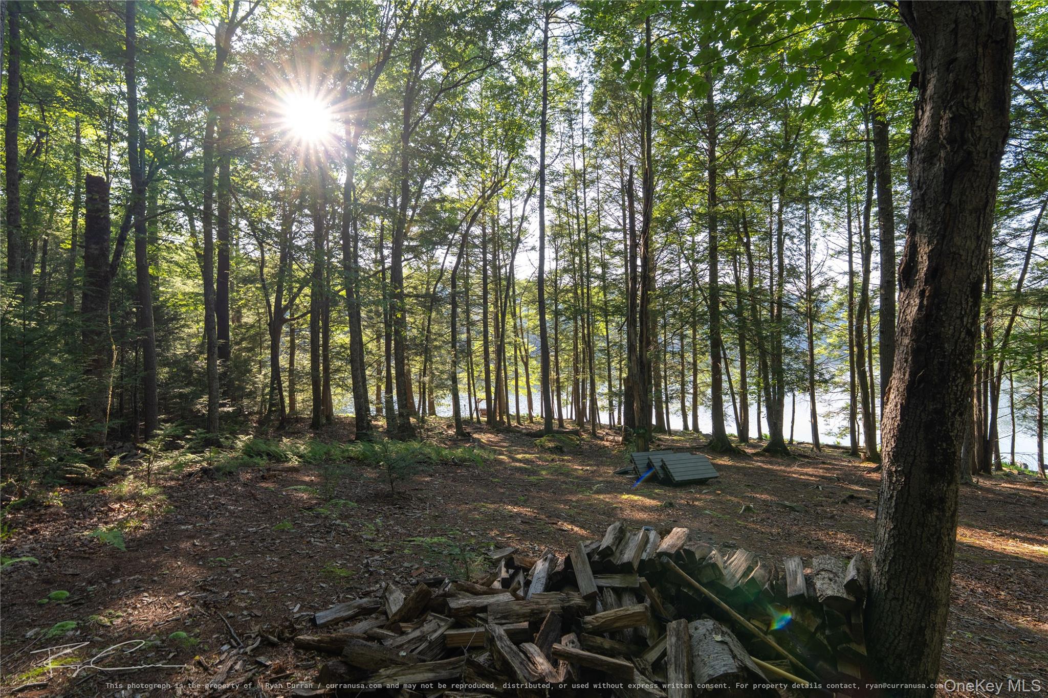 Old Plank Road Property Photo 28